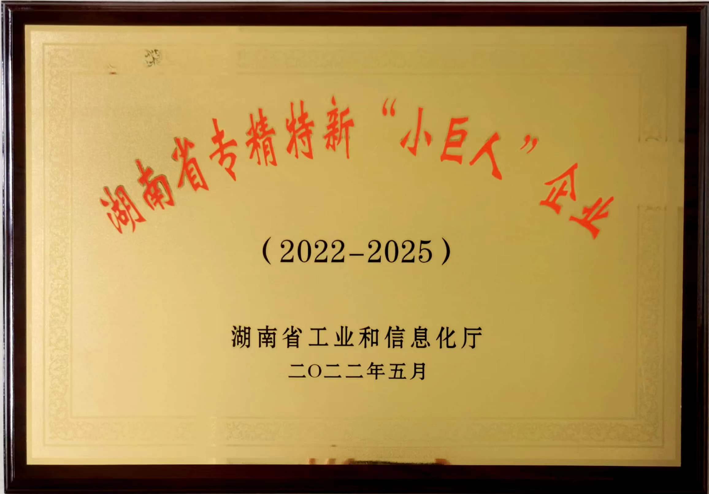 湖南省專(zhuān)精特新“小巨人”企業(yè)